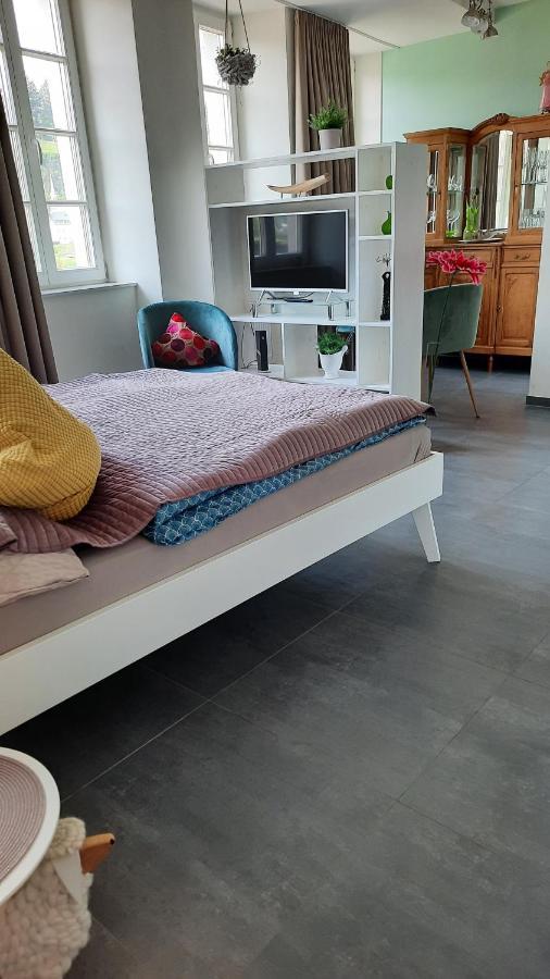 Apartment Am Zurlaubener Ufer Trier Kültér fotó