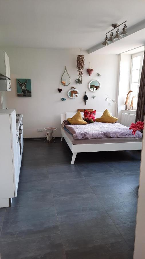Apartment Am Zurlaubener Ufer Trier Kültér fotó