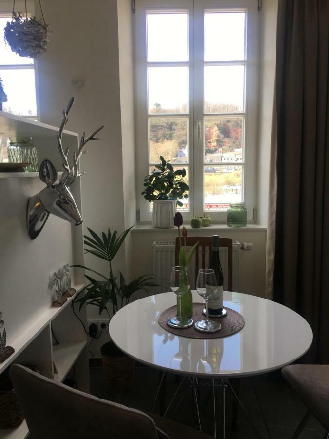Apartment Am Zurlaubener Ufer Trier Kültér fotó